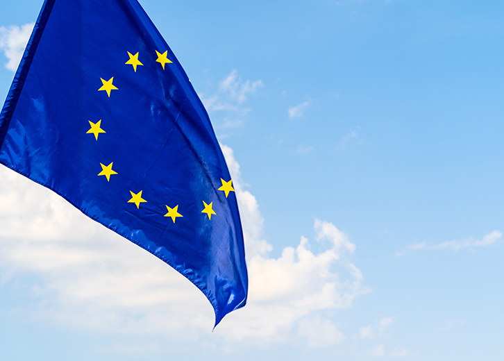 Strategie di trading, importazione e conformità regolatoria nel Unione Europea